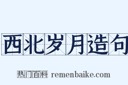 西北岁月造句是什么意思的图片